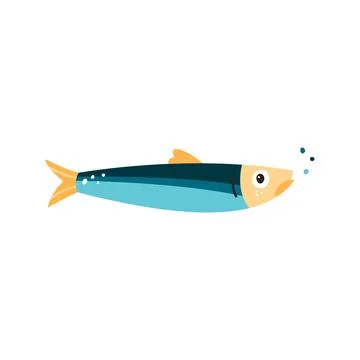 Anchovy fish vector illustration. Small salted forage fish of the family Engr Stock Illustration