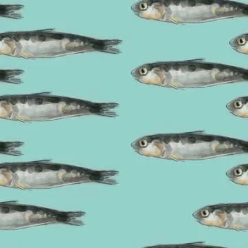 Anchovy pattern, ideal footage for themes such as Mediterranean cuisine and Stock Illustration