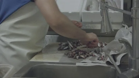  Anchovy wipes Stock Footage 77155528