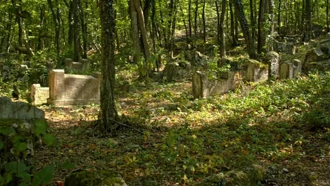 An ancient abandoned cemetery Stock-Footage 80405120