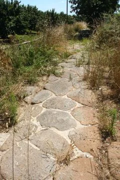 Ancient via Amerina 写真素材