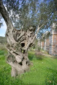 Ancient aquaduct Foto stock