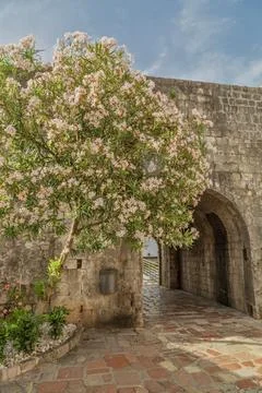 Ancient arch in old town Stock Photos
