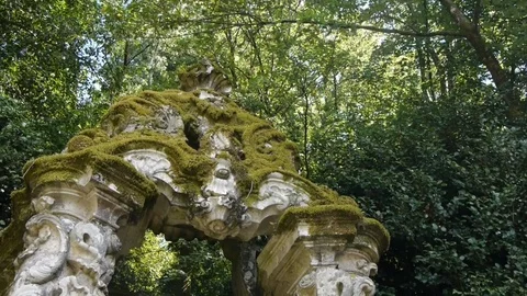 An ancient arch in the park. Stock Footage 80248823