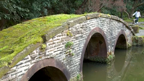 Ancient arched stone bridge covered in green moss over calm pond in traditi.. Video stock 333320244