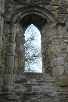 Ancient Arched Window Framing Bare Tree Branches At Basingwerk Abbey, North Foto stock