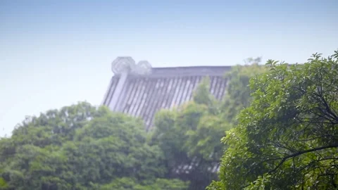 Ancient Asian Tiled Rooftop Peeking Through Foliage Stock Footage 346108857