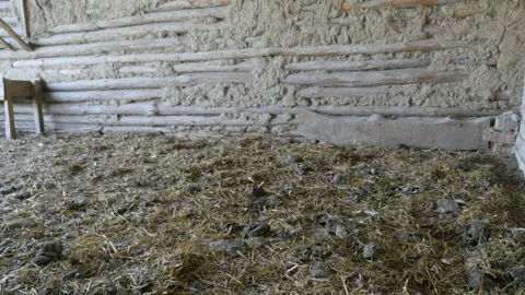 Ancient Barn For Cows Stock Footage 127921065