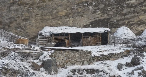 Ancient barn for cows in the mountains under the snow Video stock 85728029