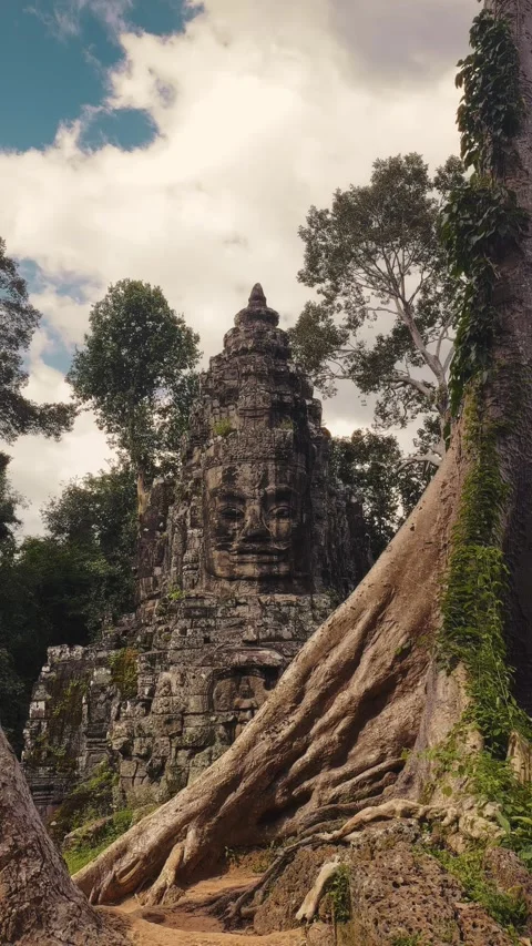 Ancient Bayon Temple Faces Amid Jungle Roots In Angkor Wat Cambodia Stock Footage 345341091