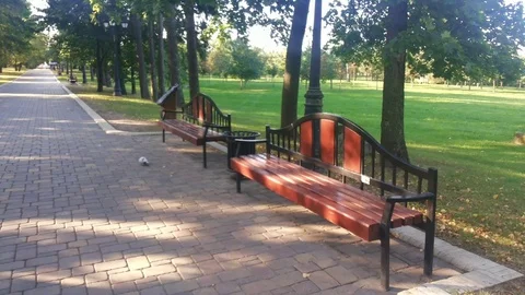 Ancient bench view in park Stock Footage 95579498