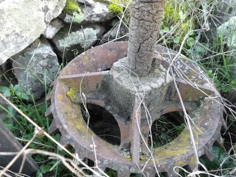 Ancient bevel drive engineered cogs to drive a water well mechanism Stock Photos