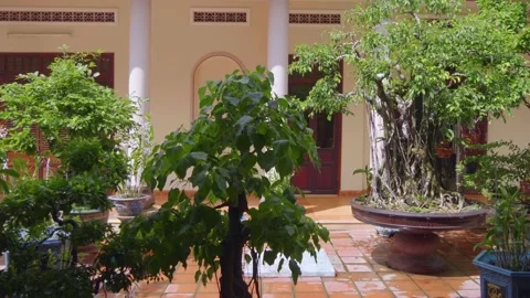Ancient bonsai trees in massive stone pot with carvings stand in monastic garden Stockbeeldmateriaal 340628317