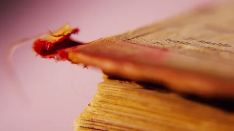 Ancient Book Macro 3 Stock Footage 284750212