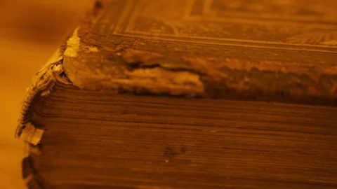 Ancient Book Macro Stock Footage 284750236
