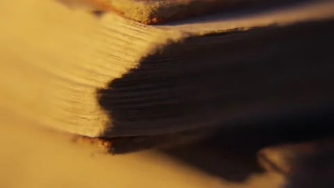 Ancient Book Pages 動画素材 284750166