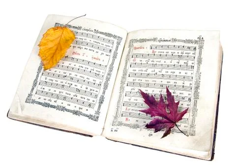 The ancient book Stock Photos