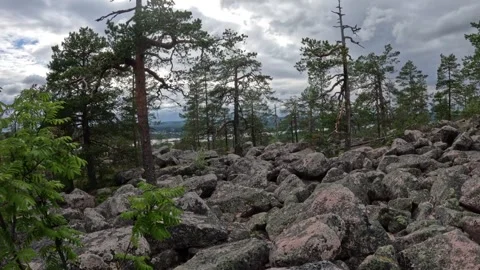 Ancient boulder field and pine forest on Aavasaksa hill Lapland Finland Stock Footage 340653416