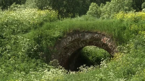 Ancient brick bridge overgrown with grass Stock Footage 81885625