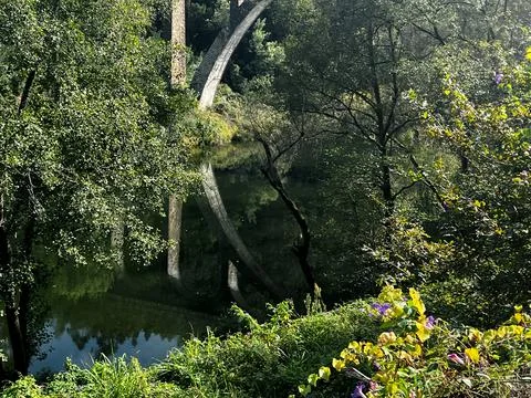 Ancient bridge landscape Stockfoto's