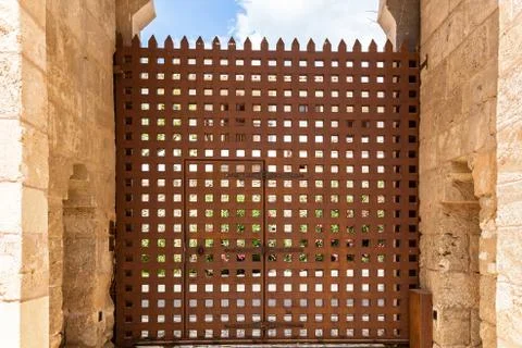 Ancient brown door. Stock Photos