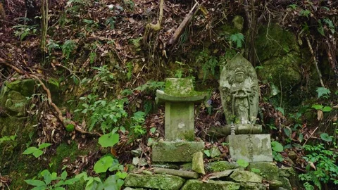 Ancient Buddhist stone statue and small shrine on a mossy forest slope, Saga Vídeos de archivo 336122494