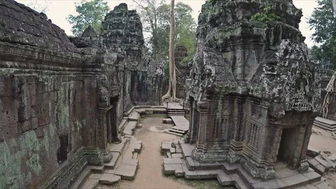 Ancient Buddhist Temple Filled with Trees Video stock 90236581