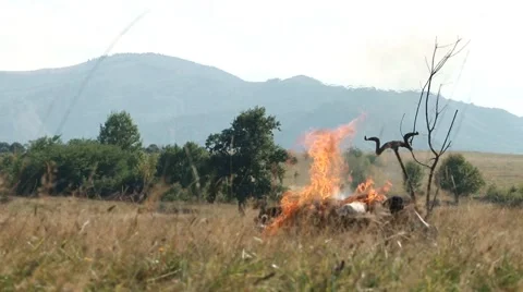 Ancient Burning Corpse Ritual 1 Stock Footage 46110072