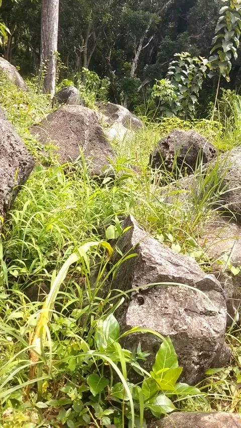 Ancient Carved Stone. Stock Footage 328918002
