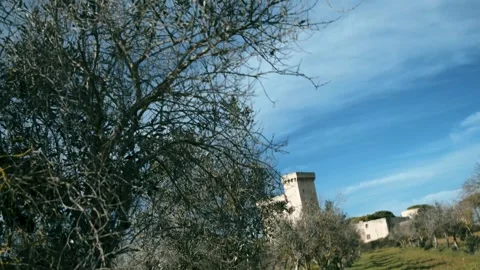Ancient Castle and Lone Tree Under Blue Sky in Puglia, Italy Stock Footage 255793571
