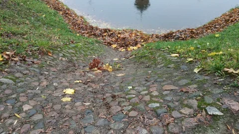 Ancient castle. 動画素材 100341230