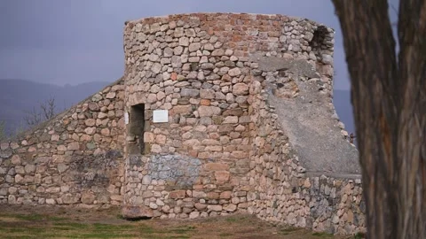 Ancient Castle Walls Behind the Tree Video stock 265964611
