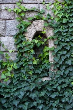 Ancient castle window Stock Photos