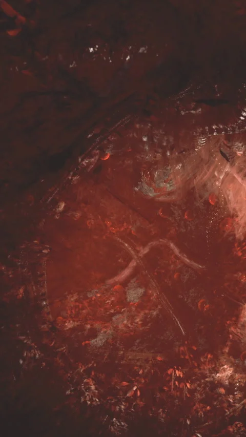 Ancient cave art showing human and animal forms in reddish tones Stock Footage 332210852