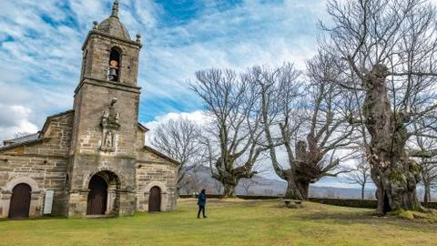 Ancient chestnut trees and old chapel with 1 tourist Stockfoto's