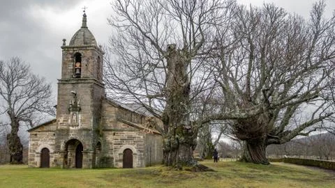 Ancient chestnut trees in a row and old chapel facade Foto stock