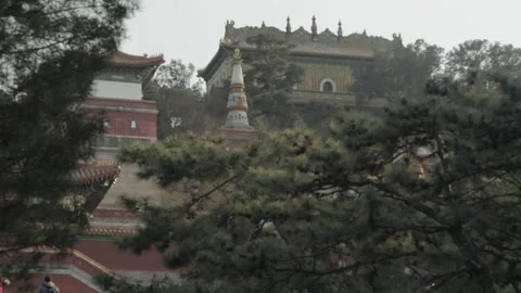 Ancient Chinese Architecture Among Pine Trees at Summer Palace, Beijing Stock Footage 341782058