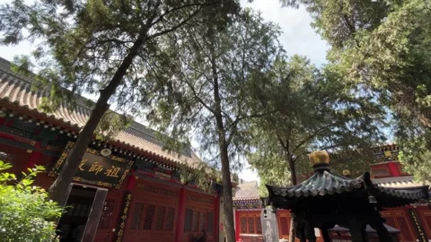 Ancient Chinese Temple Courtyard Framed by Tall Trees, Xi'an Vidéo 336009648