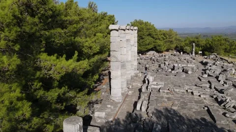 Ancient City In The Forest Stock Footage 332149077