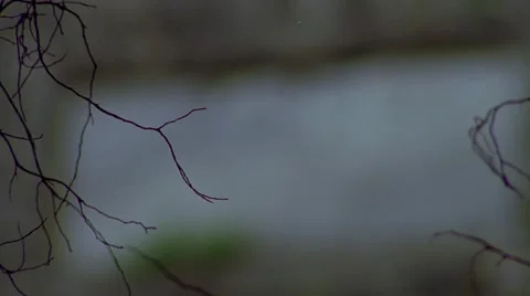 Ancient city，china Video stock 53835454