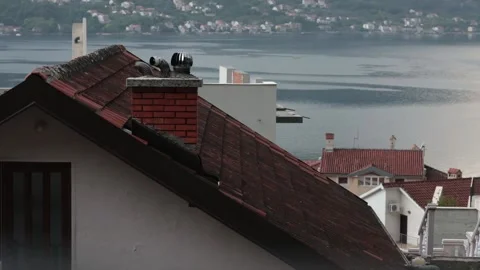 Ancient clay tile rooftops of houses with chimneys and turbo deflector Stock Footage 165078946