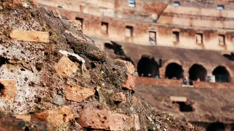 Ancient Colosseum Rome 動画素材 71316954