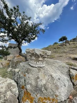 An ancient column abacus. 库存照片