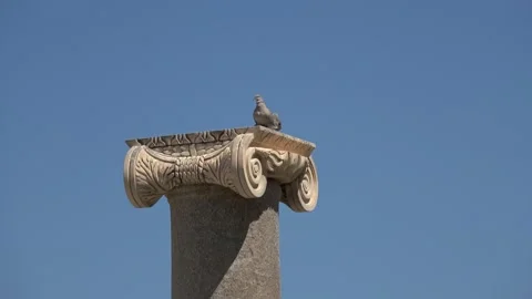 Ancient column of Patara and two doves on it Stock Footage 168275851