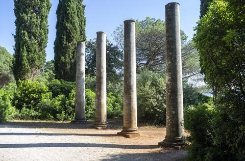 Ancient columns surrounded by nature Stock Photos