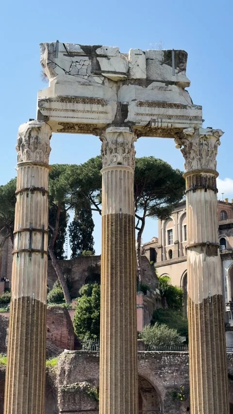 Ancient Columns of Temple of Venus Genetrix in Rome Framed by Trees and Ruins Stock Footage 341411214