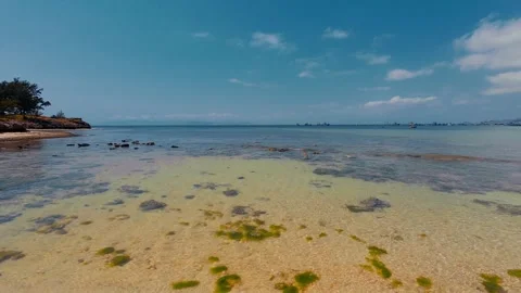 Ancient Coral Reef on Clear Shallow Coast Under Blue Sky Stock Footage 337582790