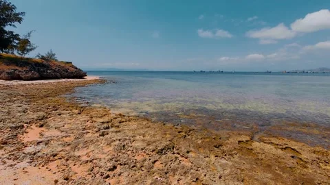 Ancient Coral Reef Shelf Under Clear Shallow Sea Water and Blue Sky Stock Footage 337582874