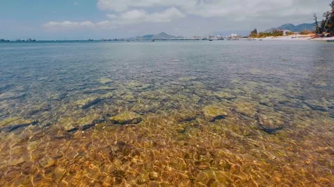 Ancient Coral Reef Under Clear Shallow Water and Coastal Village Stock Footage 337582815