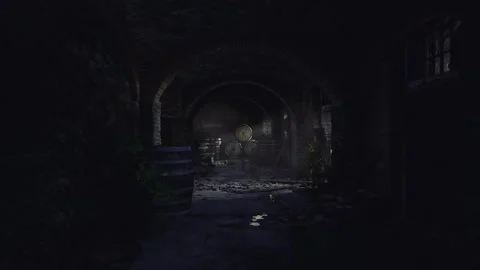 Ancient crypt corridor illuminated faintly by cold light through cracks 스톡 동영상 335102497